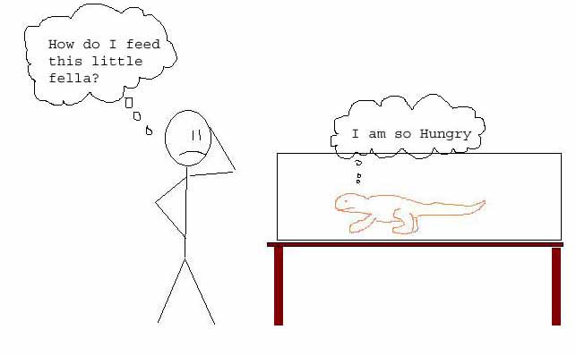 hungry newt