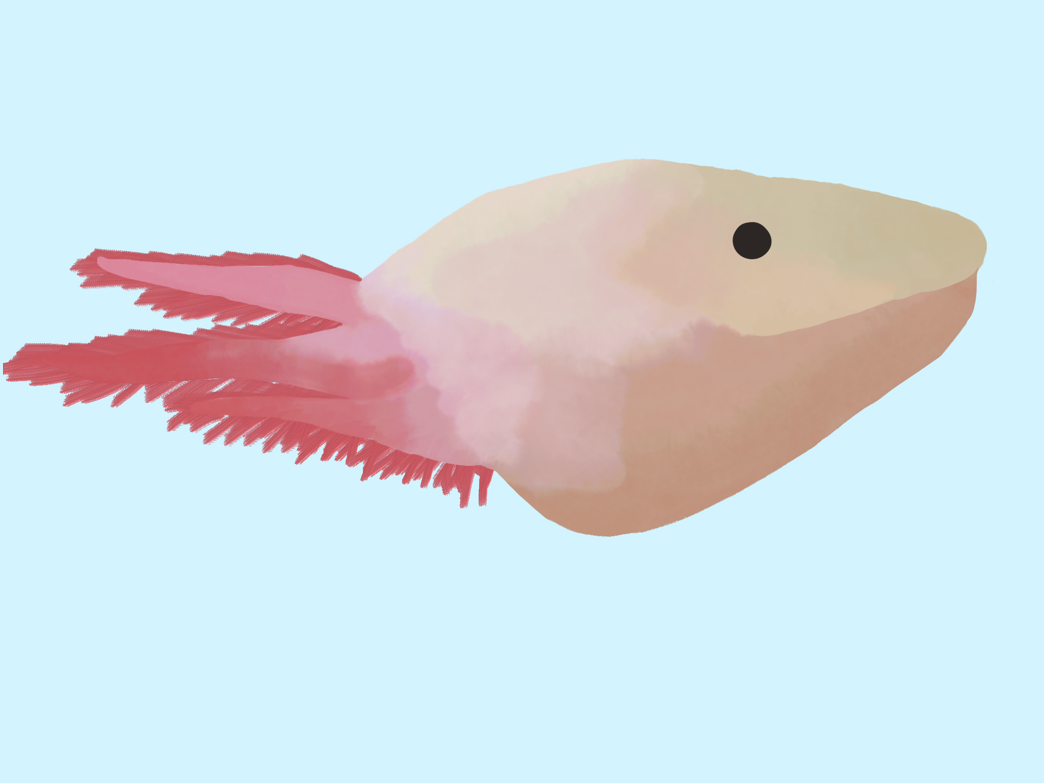 1A381D5D-9555-4AE6-8FE3-B765208D291F.jpeg