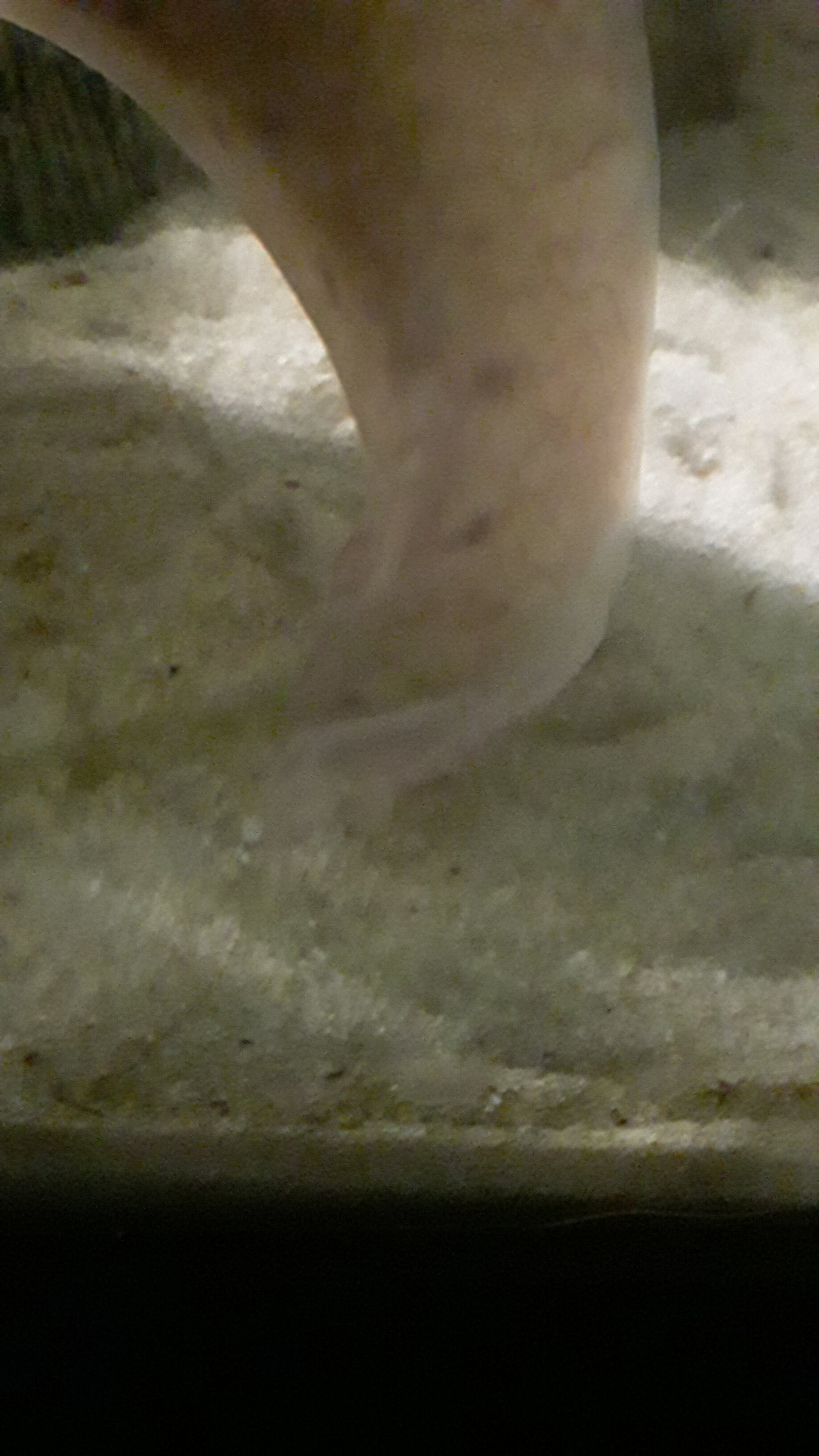 20200929_105457.jpg