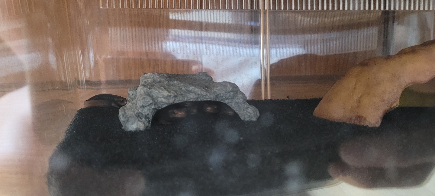 20201220-2.jpg