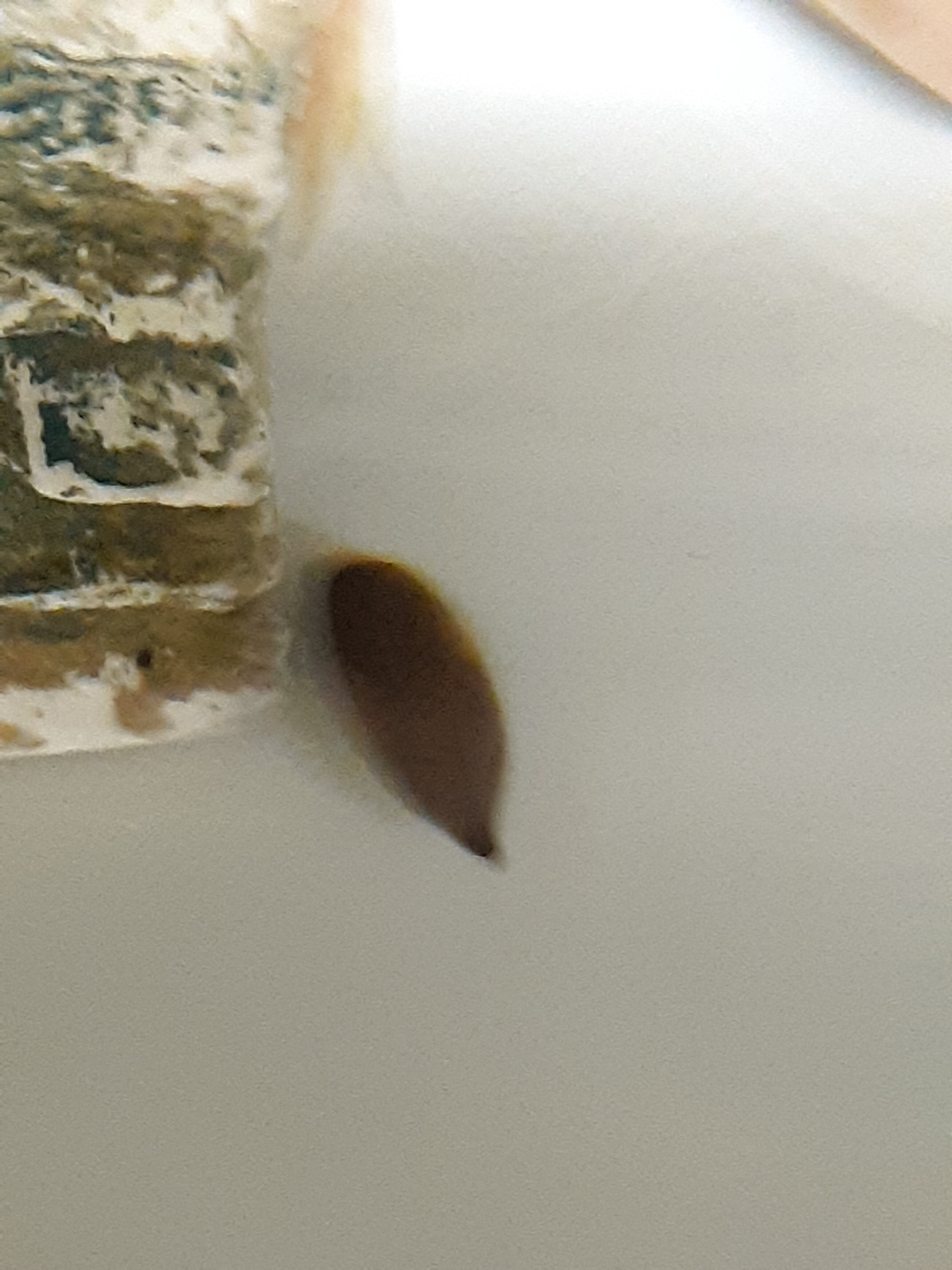20210122_202047.jpg