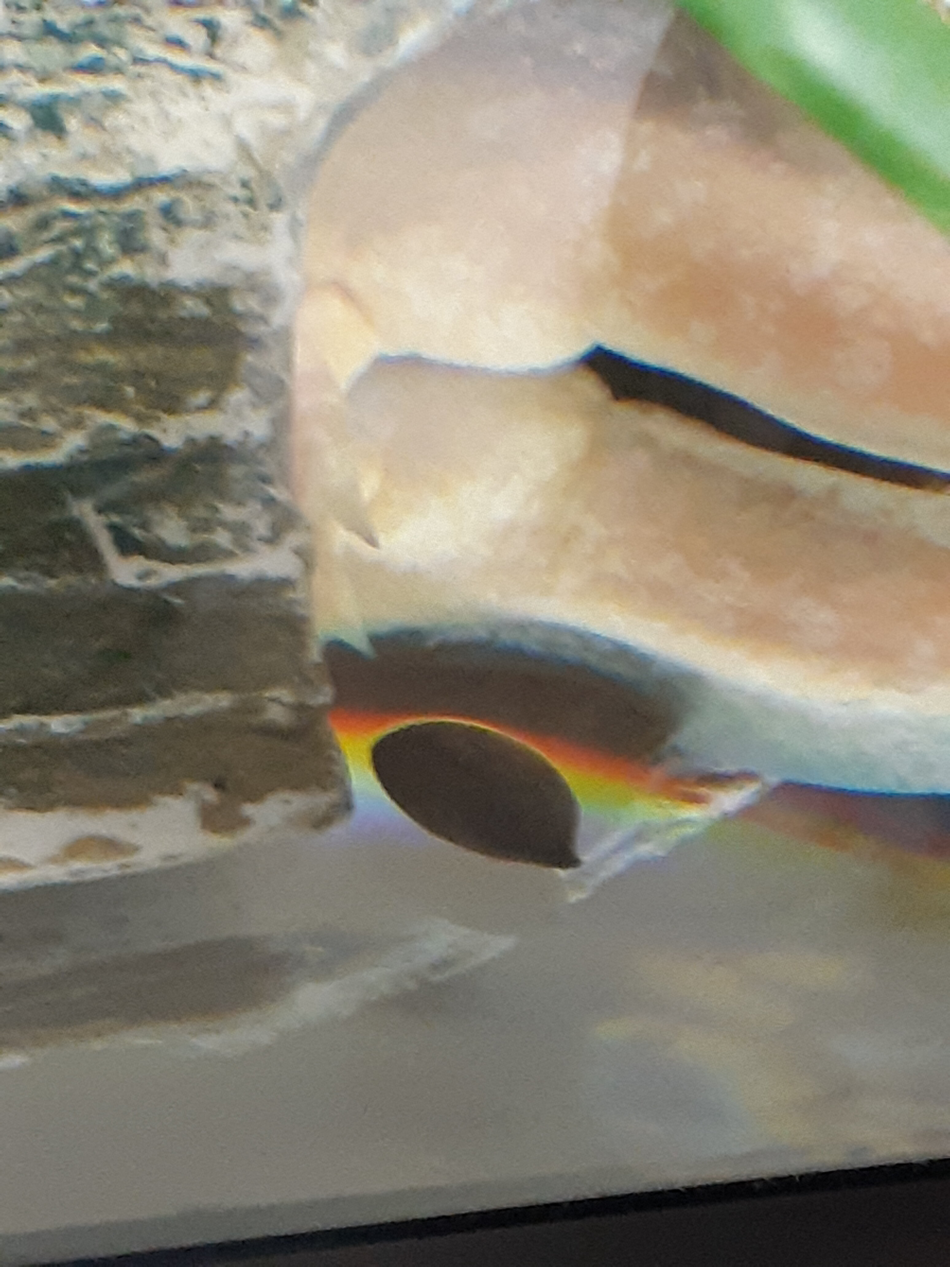 20210122_202109.jpg