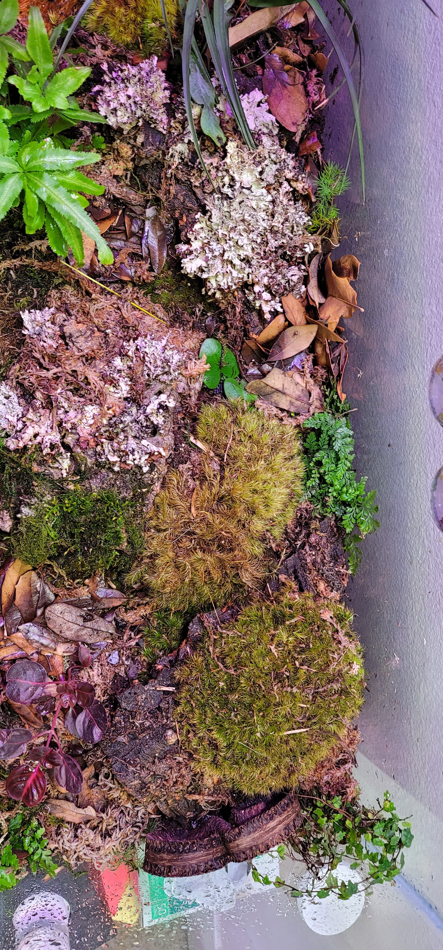 20210429_122727.jpg