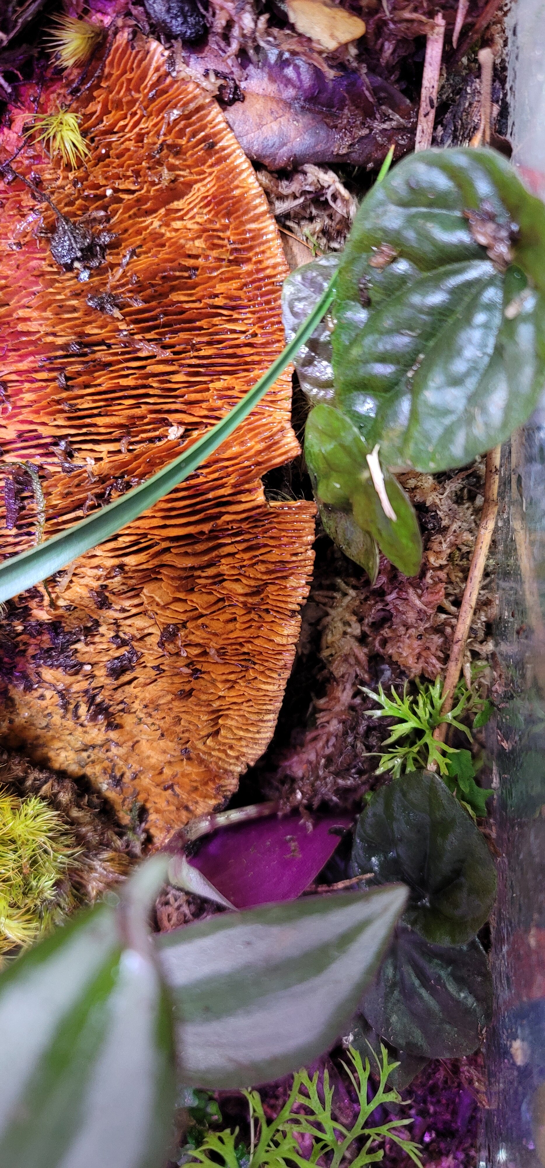 20210429_122828.jpg
