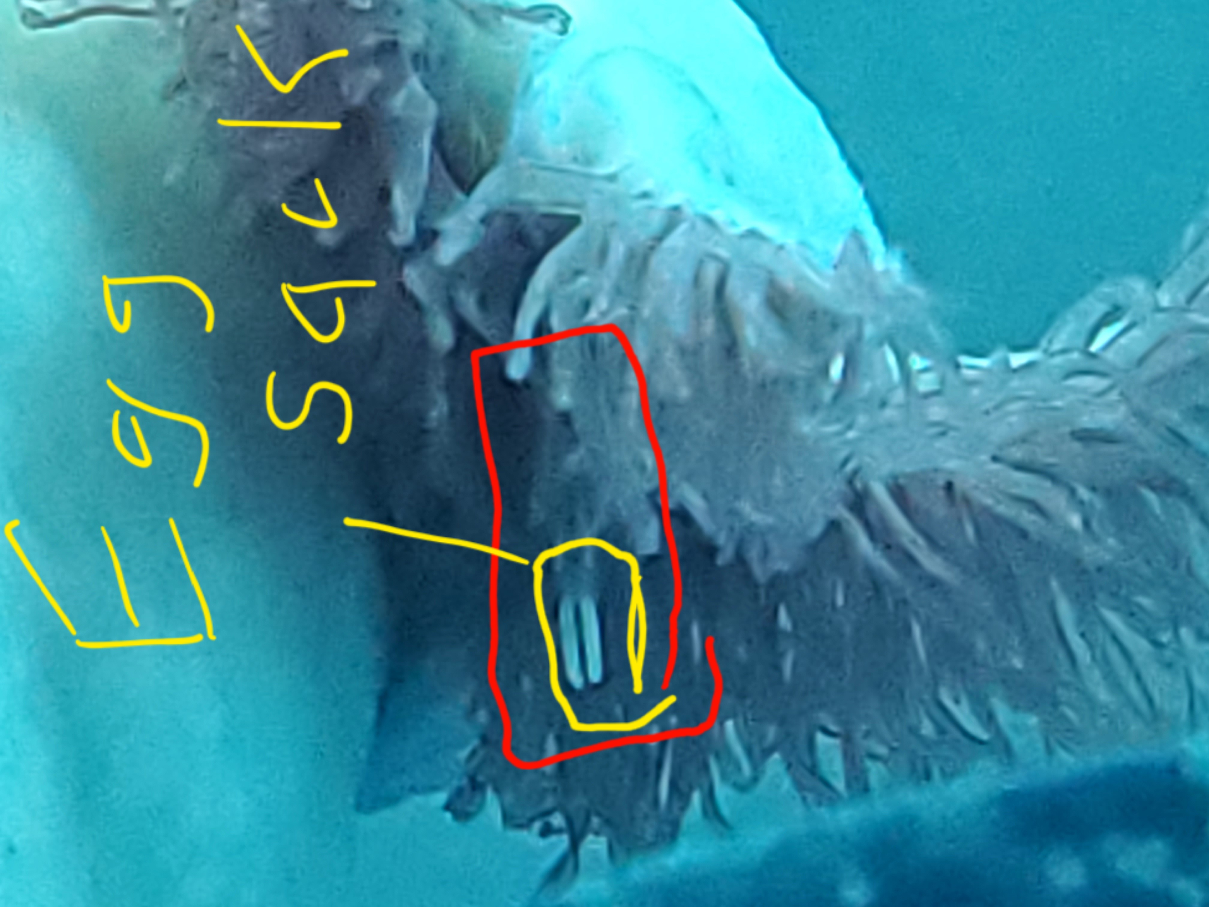 20220106_121344.jpg