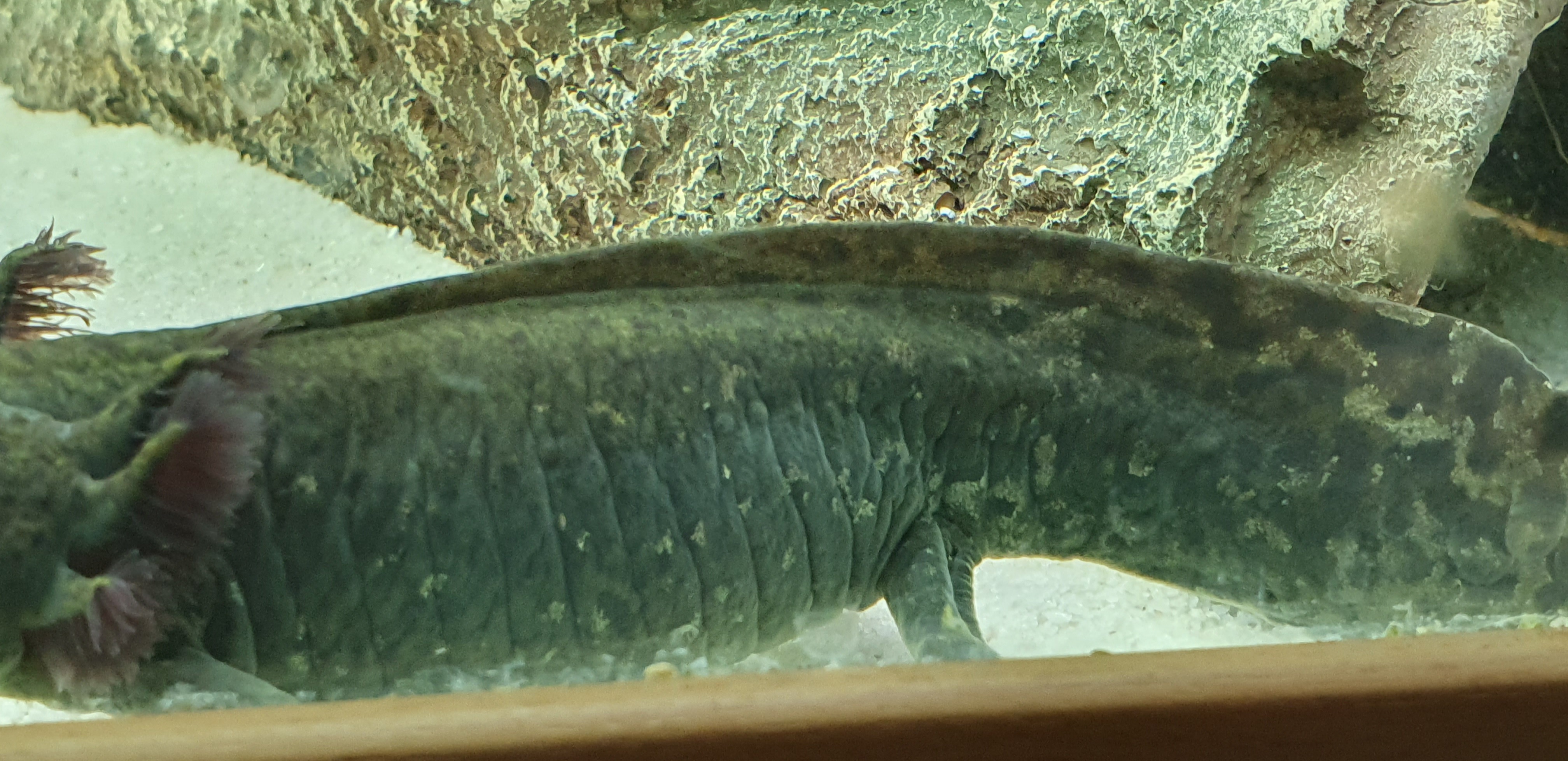 20220117_110028.jpg