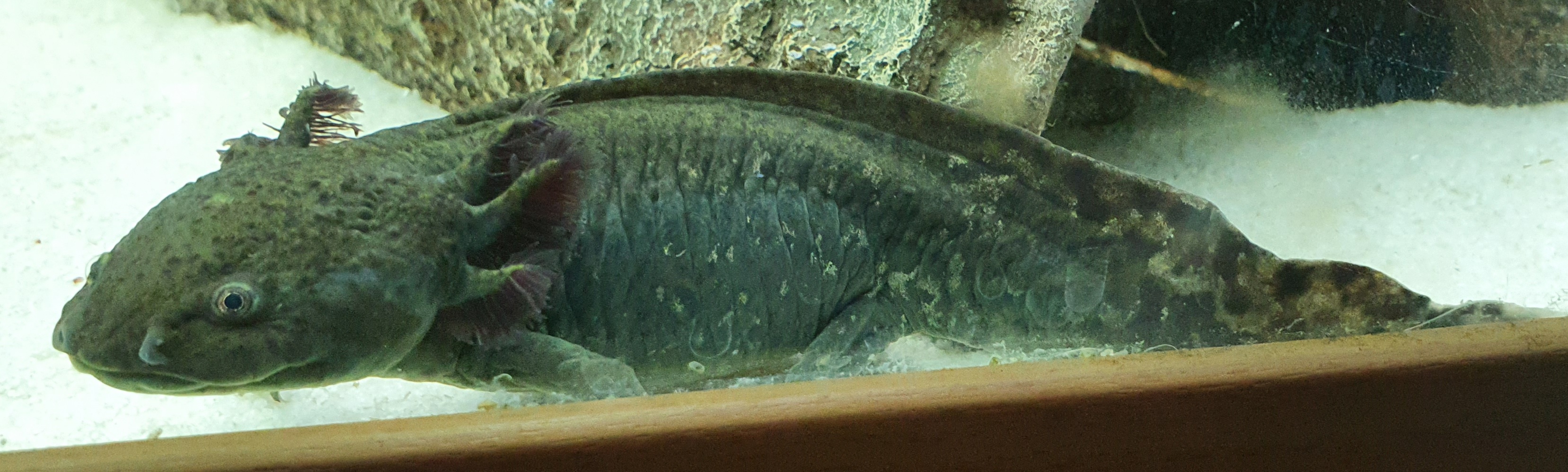 20220117_110049.jpg