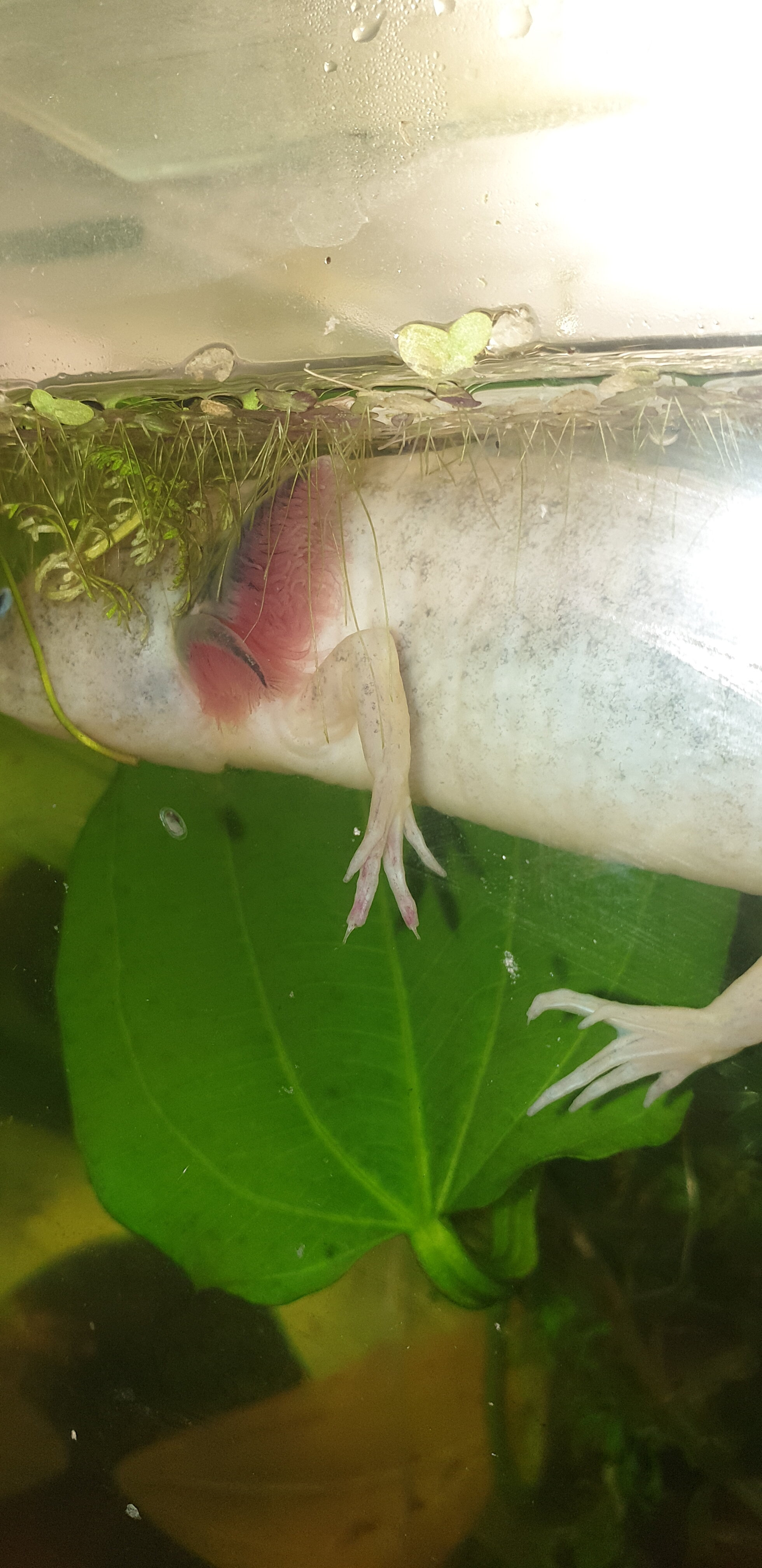 20220130_231158.jpg