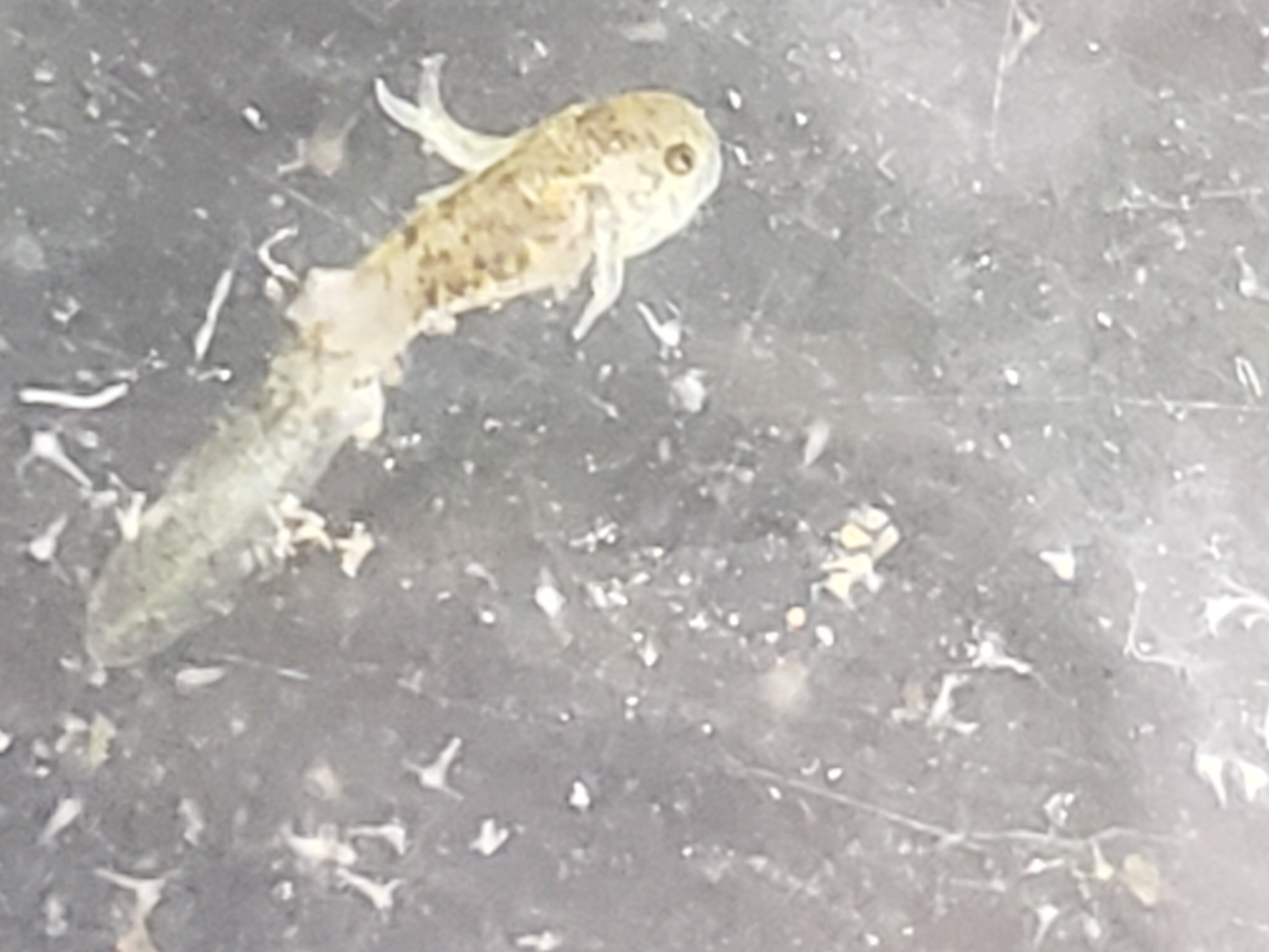 20220307_120412.jpg