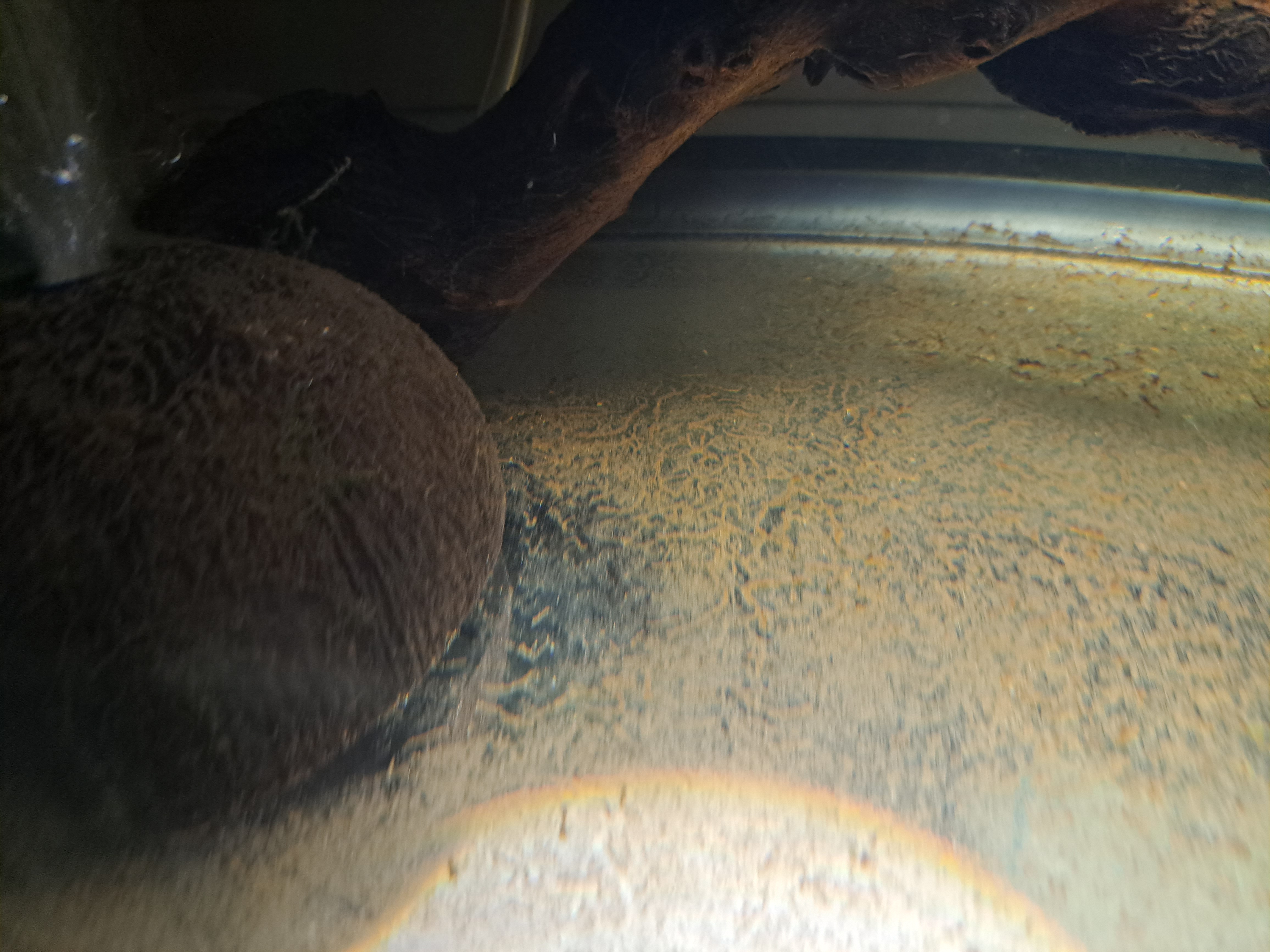 20230123_195453 (1).jpg