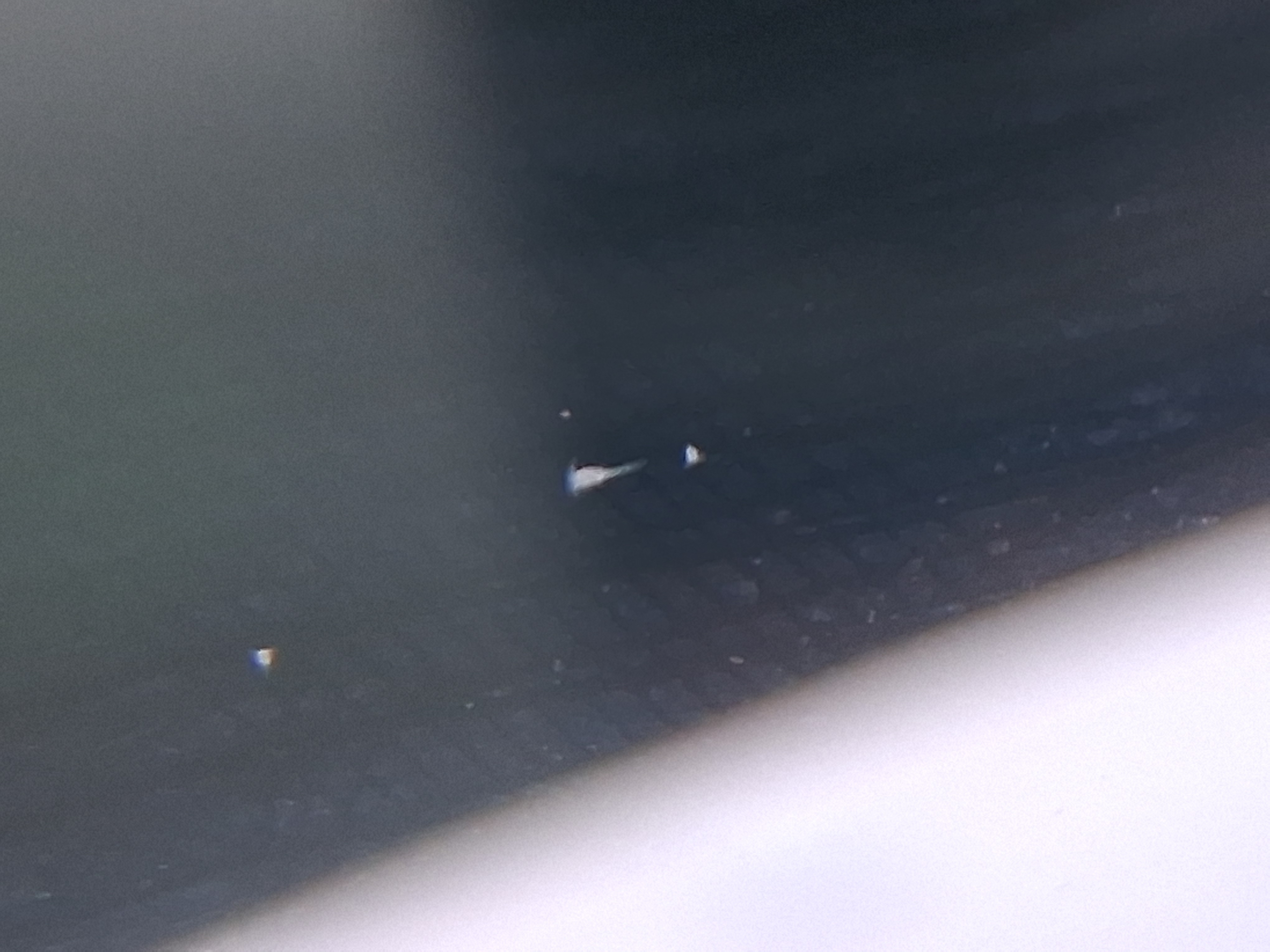 20250516_183146.jpg