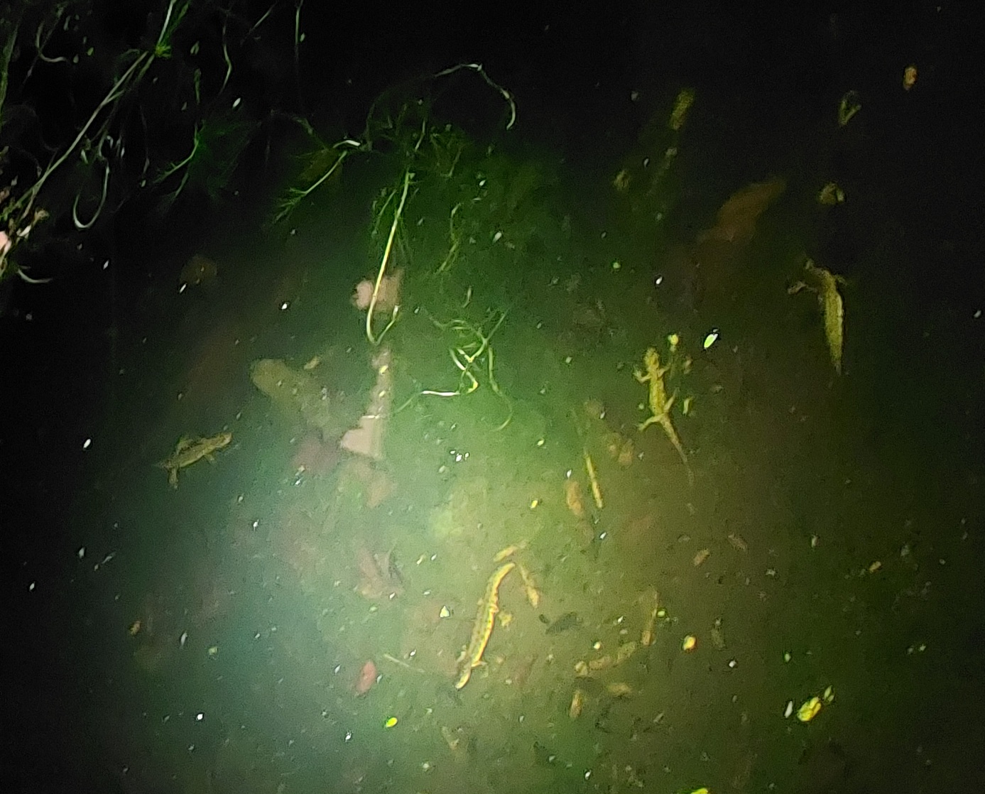20260624_141222.jpg