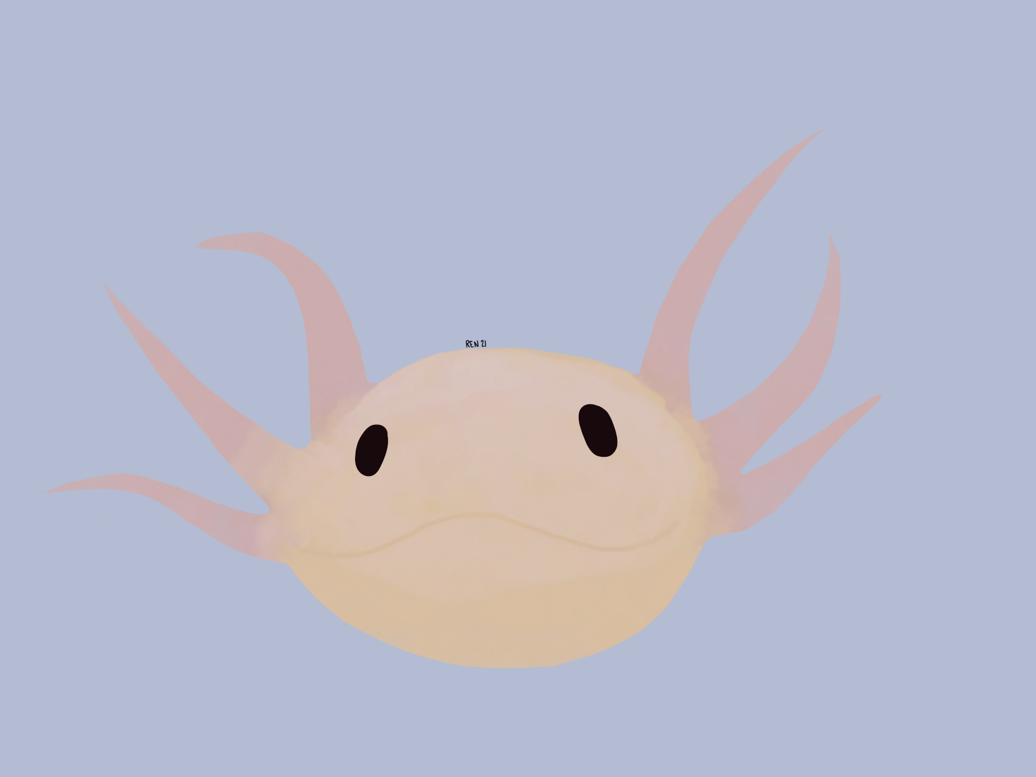 7C940A68-2F7E-46BF-A454-4F0CCF34B94A.jpeg