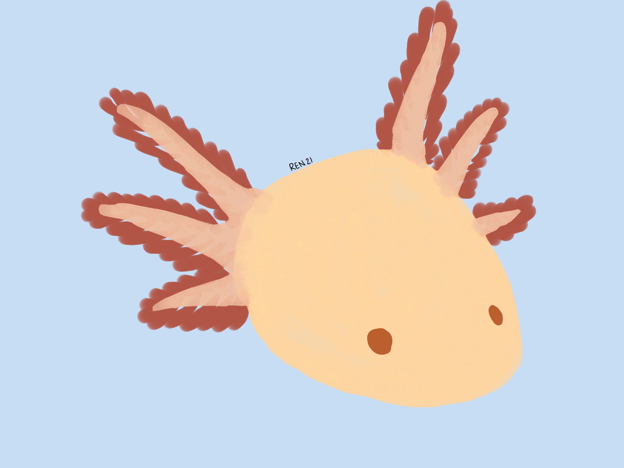 882A1047-B0F2-4C92-AA8D-EE07A67AFFC3.jpeg