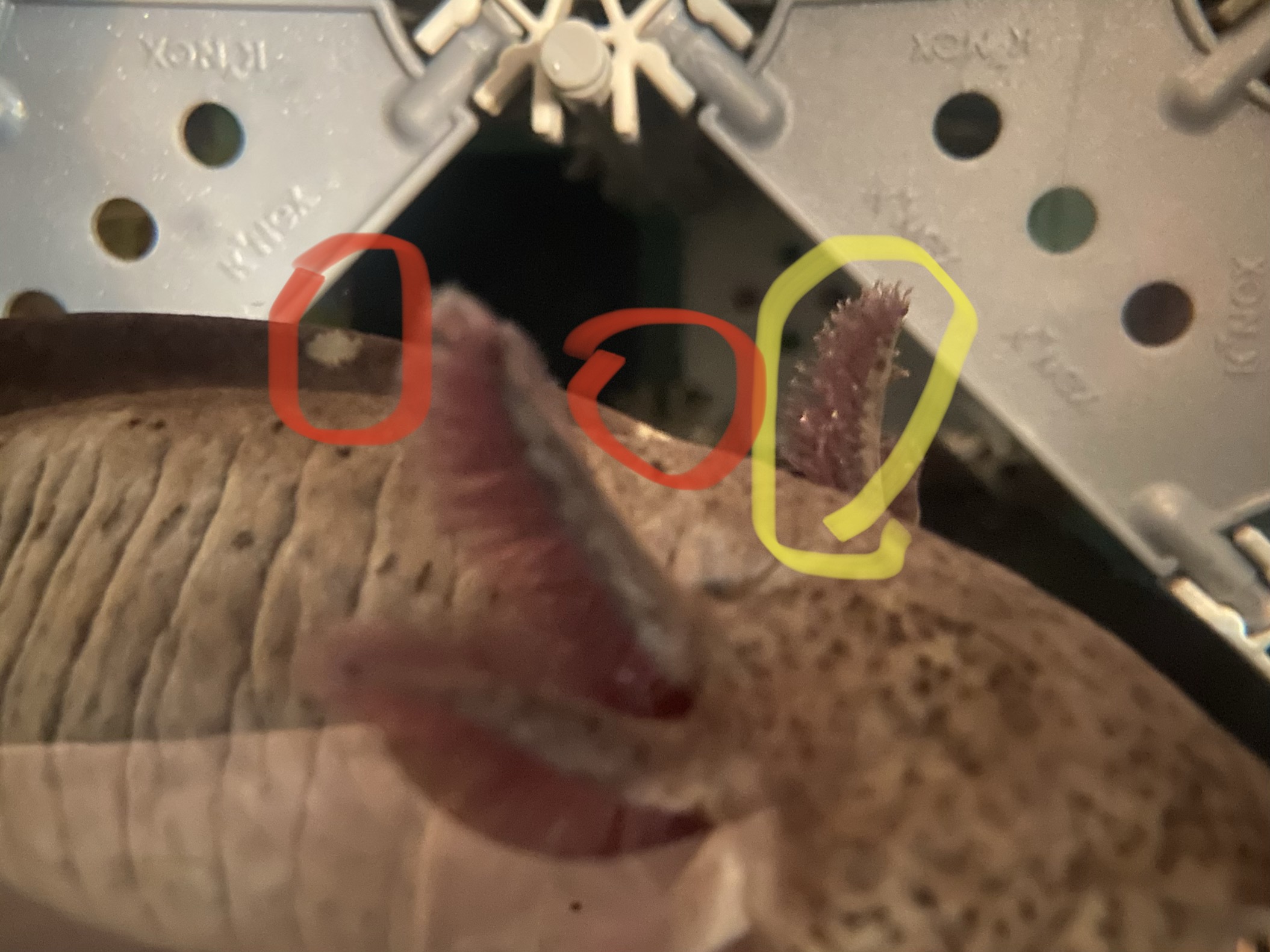 90C016F6-794E-4949-9059-E56EB9E809BF.jpeg