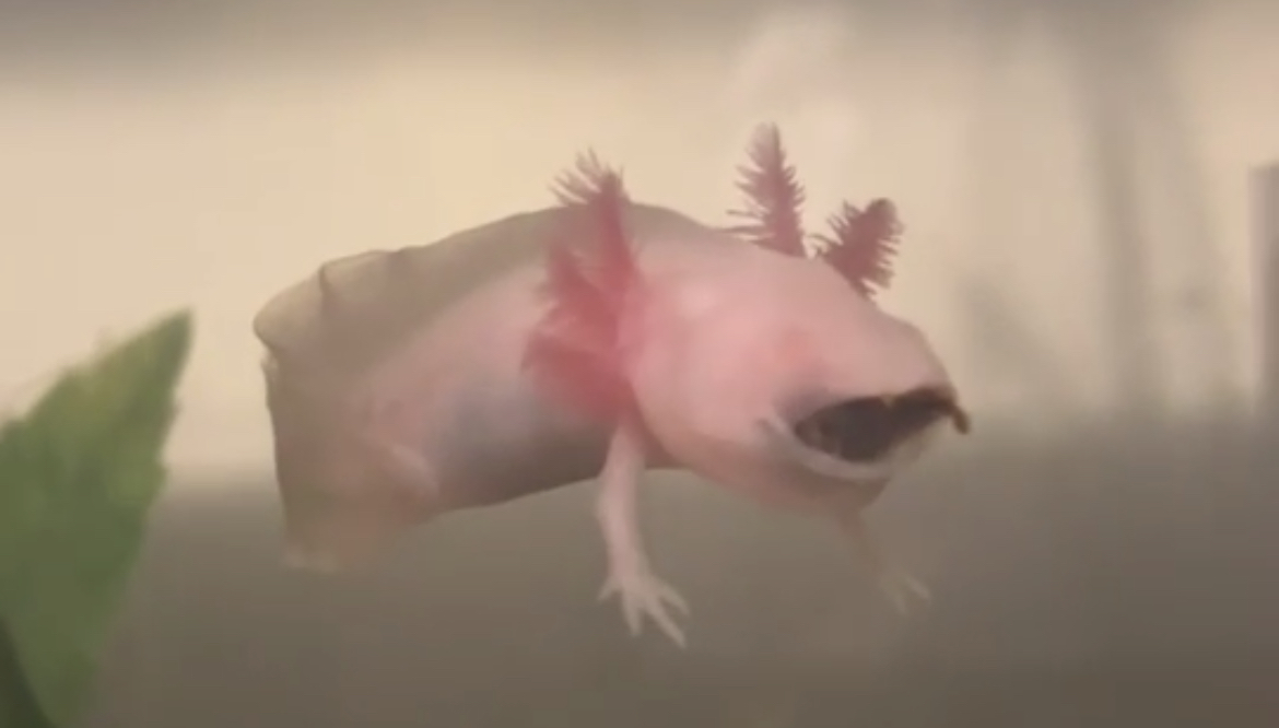 9C0AE117-03B5-4584-949F-4C0E268E38D4.jpeg