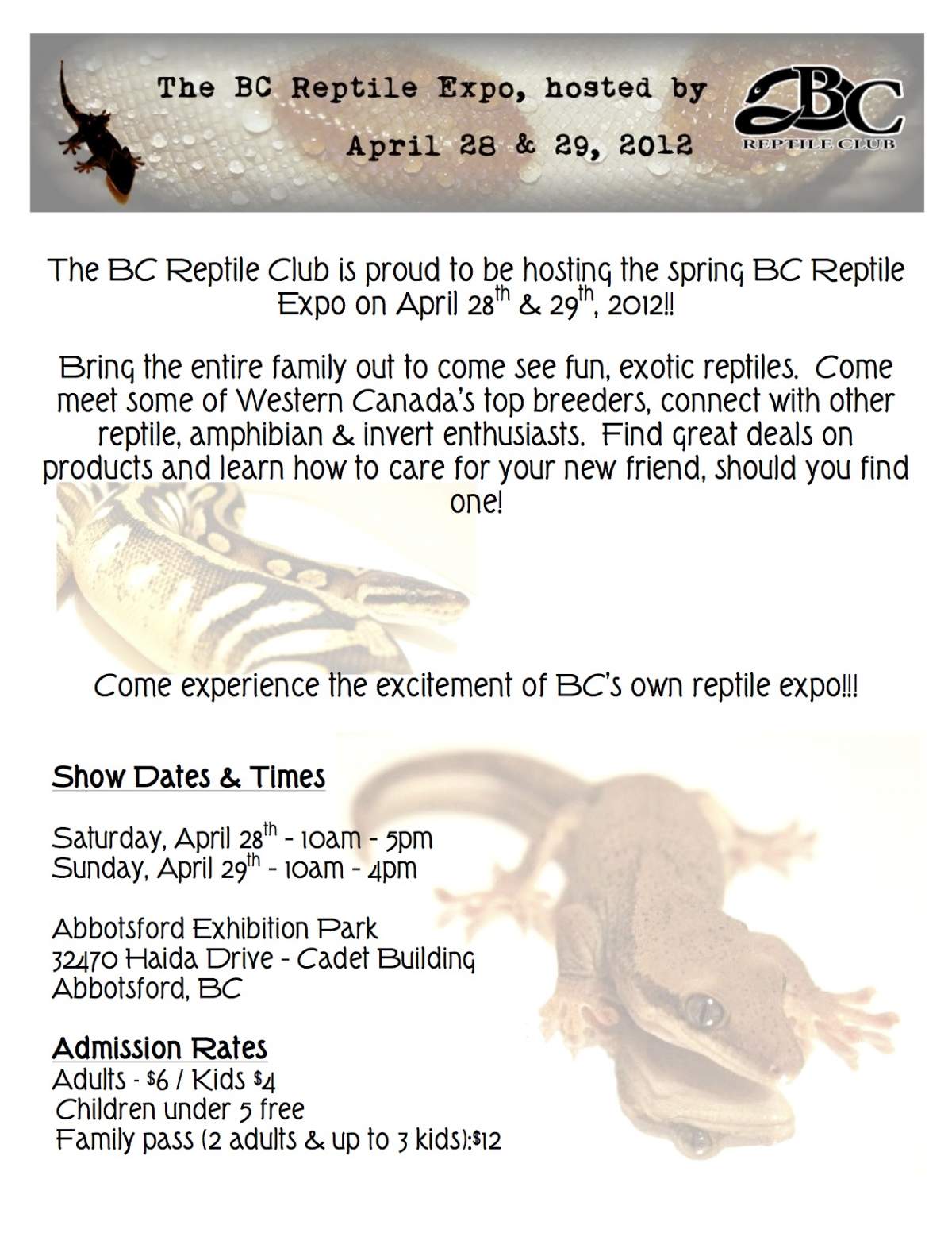 BC Reptile Expo!!! Newts and Salamanders Portal