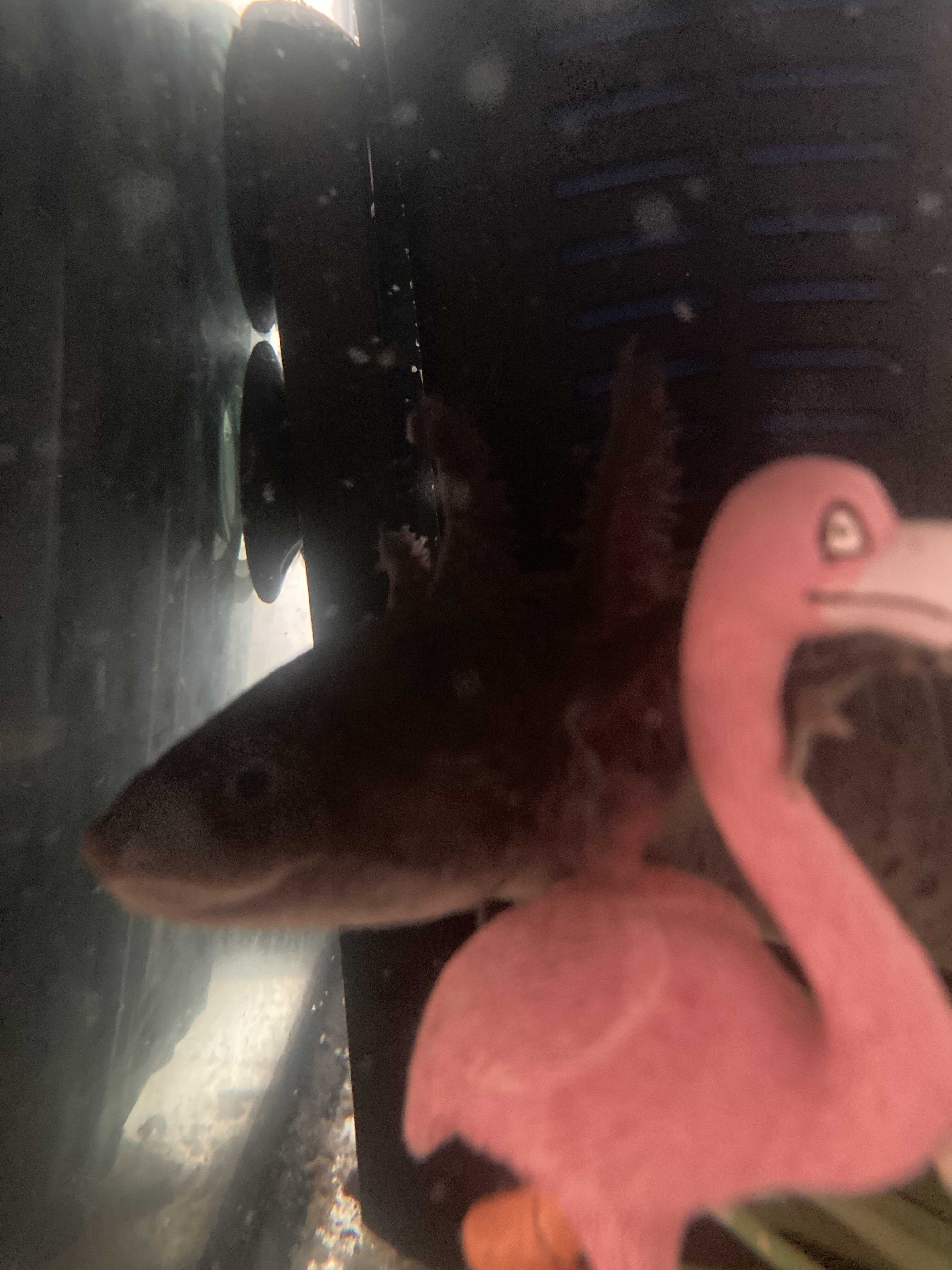 C58E0238-08D2-463B-B417-97EB32252F8A.jpeg