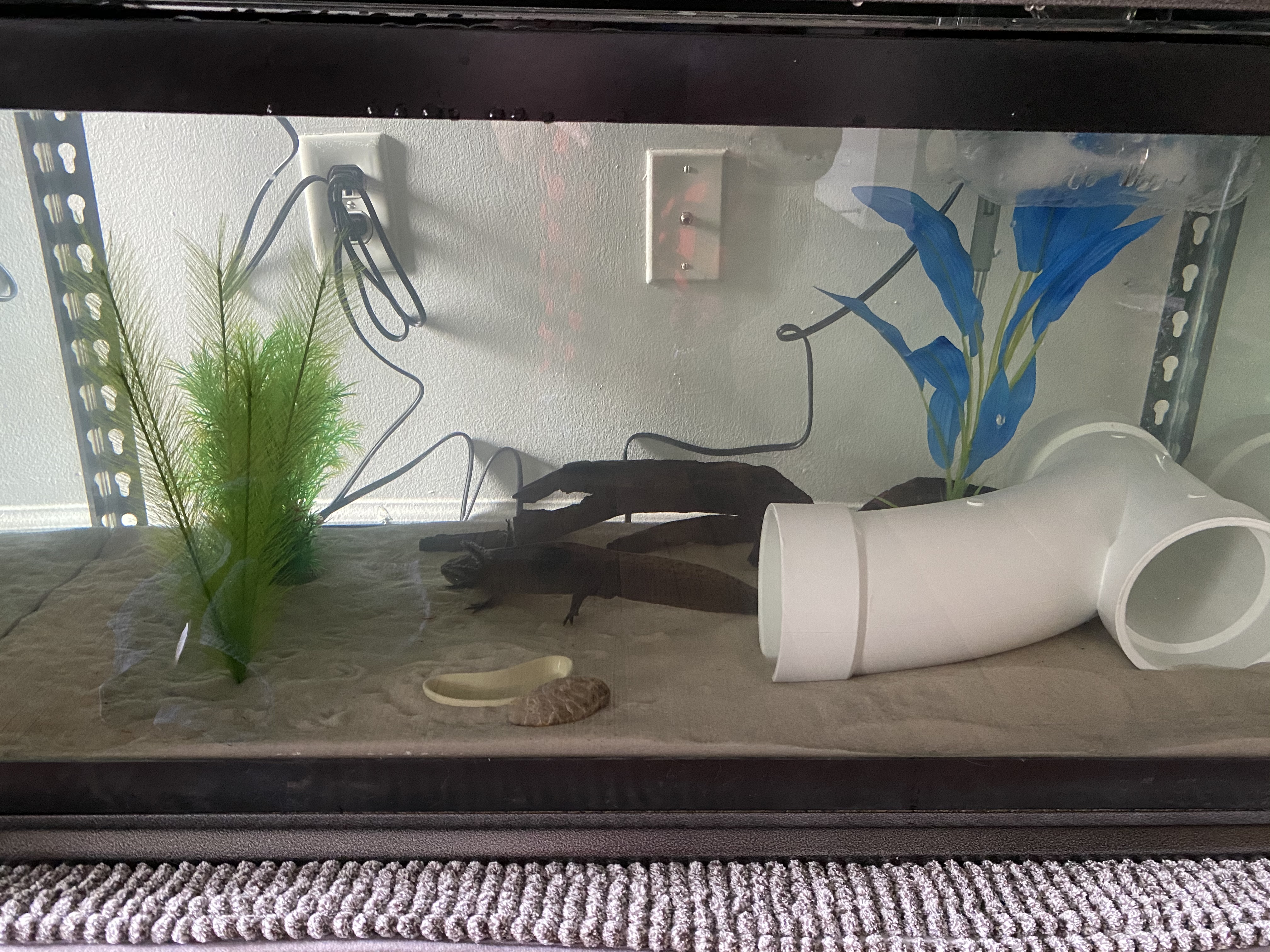 EEC01E32-CC30-4E18-8EC5-7B87DA920536.jpeg EEC01E32-CC30-4E18-8EC5-7B87DA920536.jpeg