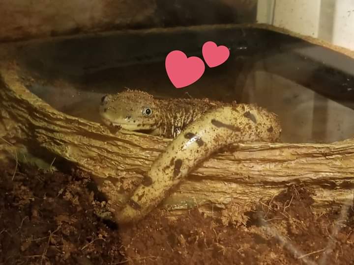 FB_IMG_1593643650957.jpg FB_IMG_1593643650957.jpg