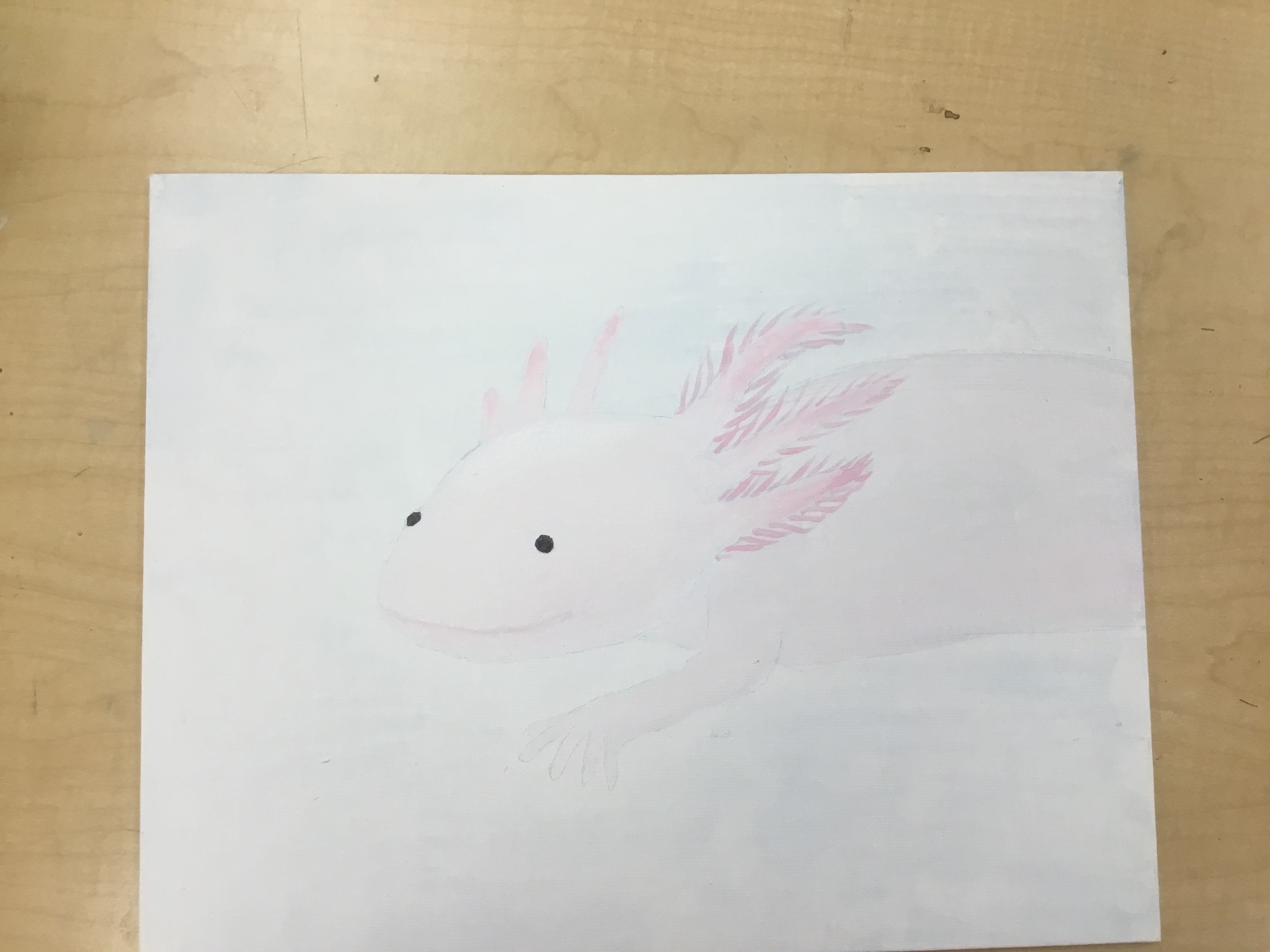 image.jpg