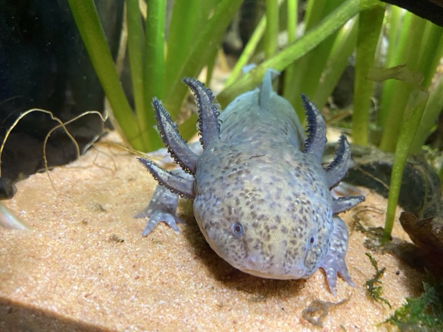 IMG_3674 Medium.jpeg