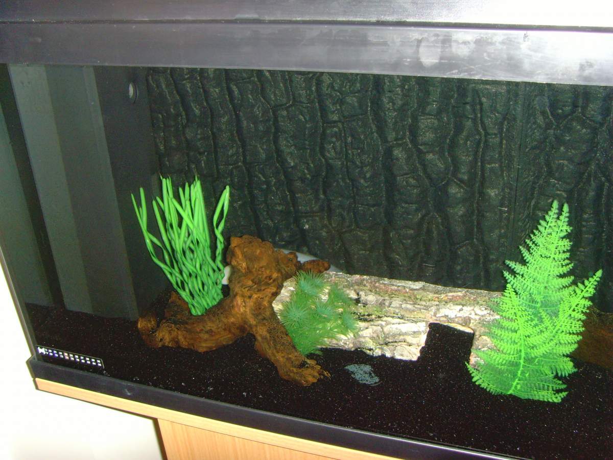 Photo: - Black tank, black sand, black background, white axie :)