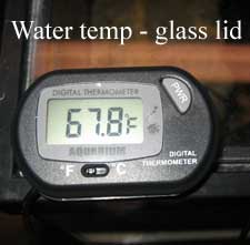 glass lid water temp