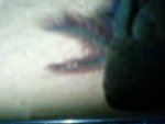 SP_A0159.jpg