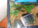 Picture or Video 031.JPG