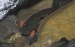 IMG_1180 01.jpg