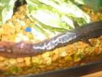 IMG_0776.JPG