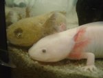 DSC02606.jpg