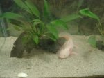 DSC02592.jpg