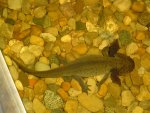 DSC02079a.jpg