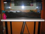 IMG_5011.jpg
