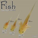 Fish the first month.jpg