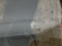 IMG_3622.jpeg