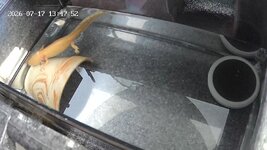 ddadb27fe9151a160c14c6a68336bd0b.jpg