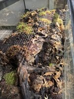 IMG_5902.jpeg