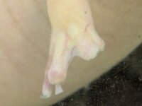 PXL_20260831_201103238.jpg