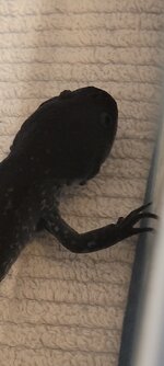 20260911_222056.jpg