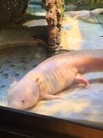 IMG_7694.jpeg