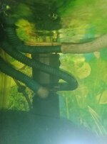 circulation pump1 .jpg