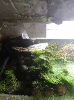 top sump1.jpg