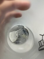 IMG_0687.jpeg