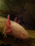 IMG_0054.jpg
