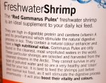 shrimp blurb.jpg