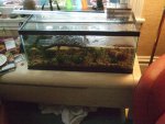 NewTankSetup.jpg