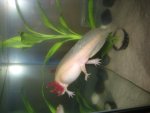 IMG_0536.jpg